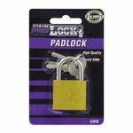 Iron Padlock with Keys
